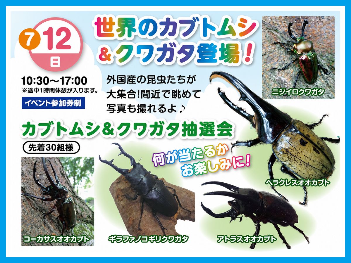 2026年7月12日(日)】世界のカブトムシ＆クワガタ登場！｜成田住宅公園
